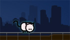sorpresas : Gatito