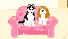  decoración : Una pensión para perros