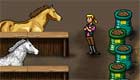sorpresas : Alimentar a caballos