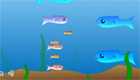 sorpresas : Juego de administración de un acuario